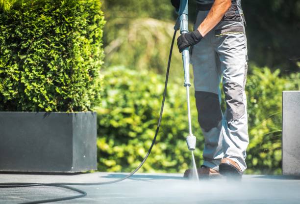Best Dumpster Area Cleaning  in Carney, MD