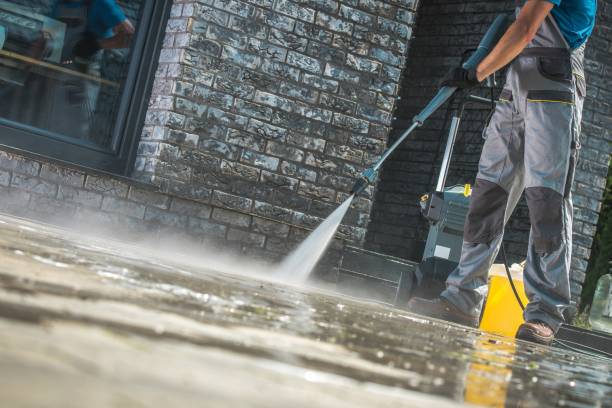 Best Pool Deck Cleaning  in Carney, MD