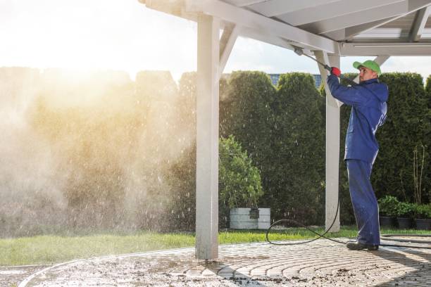 Pre-Holiday Cleaning in Carney, MD