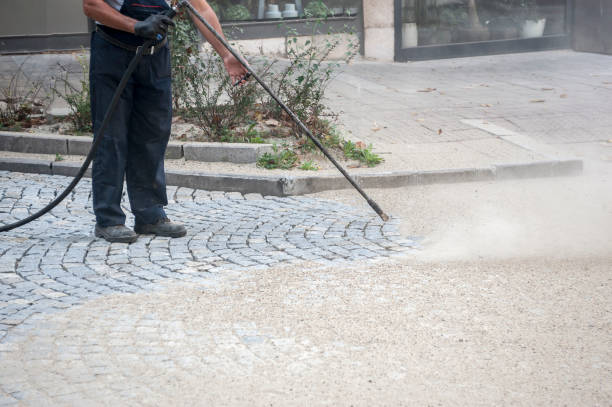 Best Animal Enclosure Cleaning  in Carney, MD