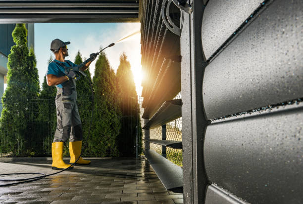 Best Roof Washing  in Carney, MD
